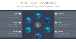 Agile Project Monitoring