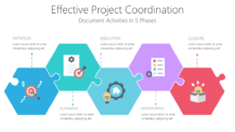 Effective Project Coordination