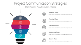 Project Communication Strategies