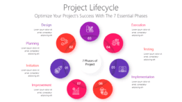 Project Lifecycle