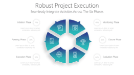 Robust Project Execution