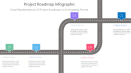 Project Roadmap Infographic