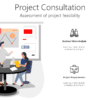 Project Consultation