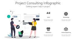 Project Consulting Infographic
