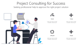 Project Consulting for Success