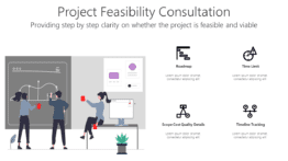 Project Feasibility Consultation