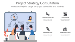 Project Strategy Consultation
