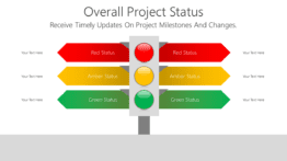 Overall Project Status