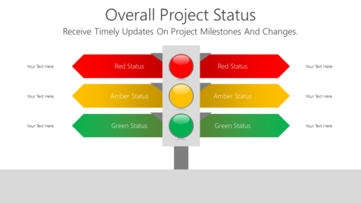 PS Overall Project Status-pptinfographics