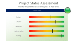 Project Status Assessment