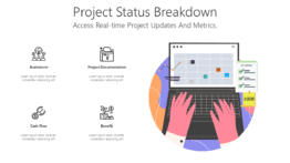 Project Status Breakdown