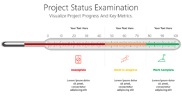Project Status Examination