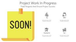 Project Work In Progress