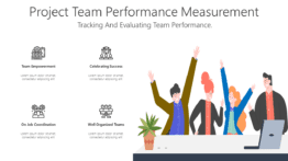 Project Team Performance Measurement