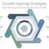 BG64 Growth Hacking Strategies-pptinfographics