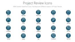 Project Review Icons