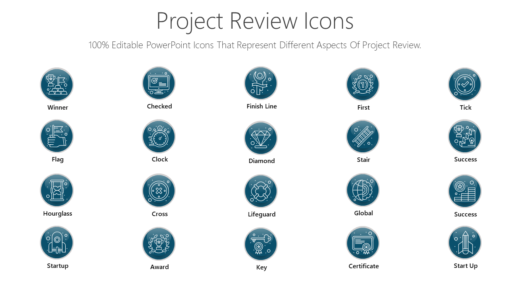 PDI20 Project Review Icons-pptinfographics