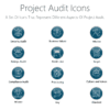 Project Audit Icons