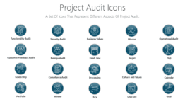 Project Audit Icons
