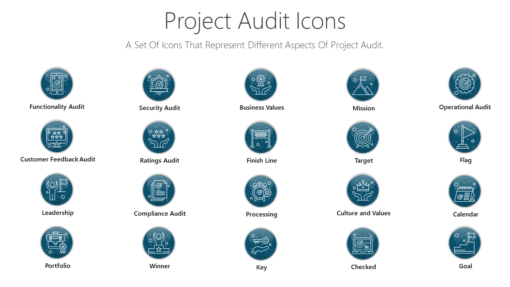 PDI21 Project Audit Icons-pptinfographics