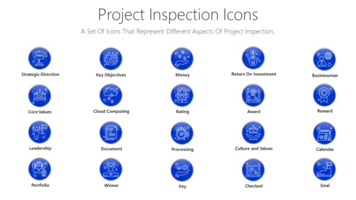 PDI22 Project Inspection Icons-pptinfographics