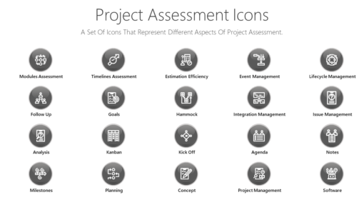 PDI23 Project Assessment Icons-pptinfographics