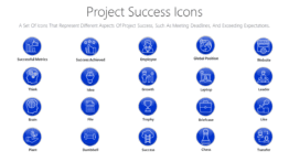 Project Success Icons