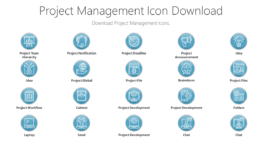 Project Management Icon Download