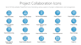 Project Collaboration Icons