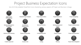 Project Business Expectation Icons