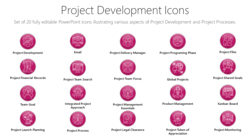 PMI47 Project Development Icons-pptinfographics