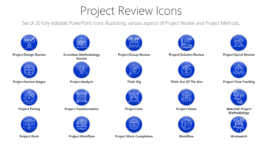 Project Review Icons
