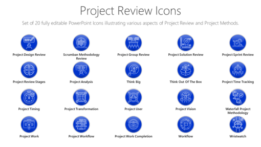 PMI49 Project Review Icons-pptinfographics