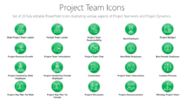 Project Team Icons