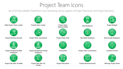 PMI50 Project Team Icons-pptinfographics