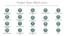 Project Team Effort Icons