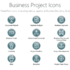 Business Project Icons