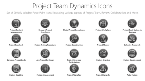 PMI69 Project Team Dynamics Icons-pptinfographics