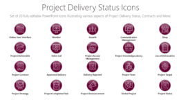 Project Delivery Status Icons