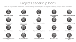 Project Leadership Icons
