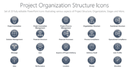 Project Organization Structure Icons