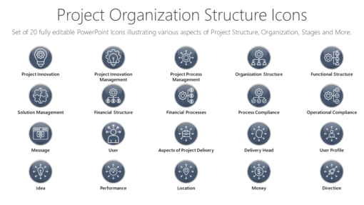 PMI89 Project Organization Structure Icons-pptinfographics