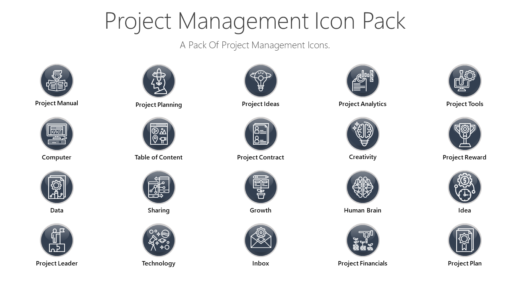 PMI8 Project Management Icon Pack-pptinfographics