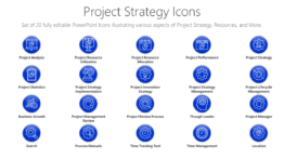 Project Strategy Icons