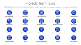 Projects Team Icons