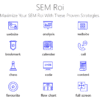 SEM ROI