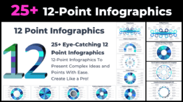12 Point Infographics