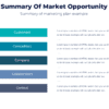Summary of market opportunity for marketing strategy
