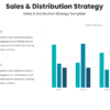 Sales & Distribution Strategy 1 Sales & distribution strategy for sales strategy