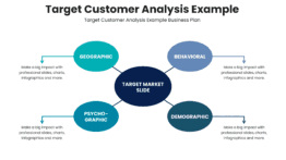Target customer analysis example for sales strategy